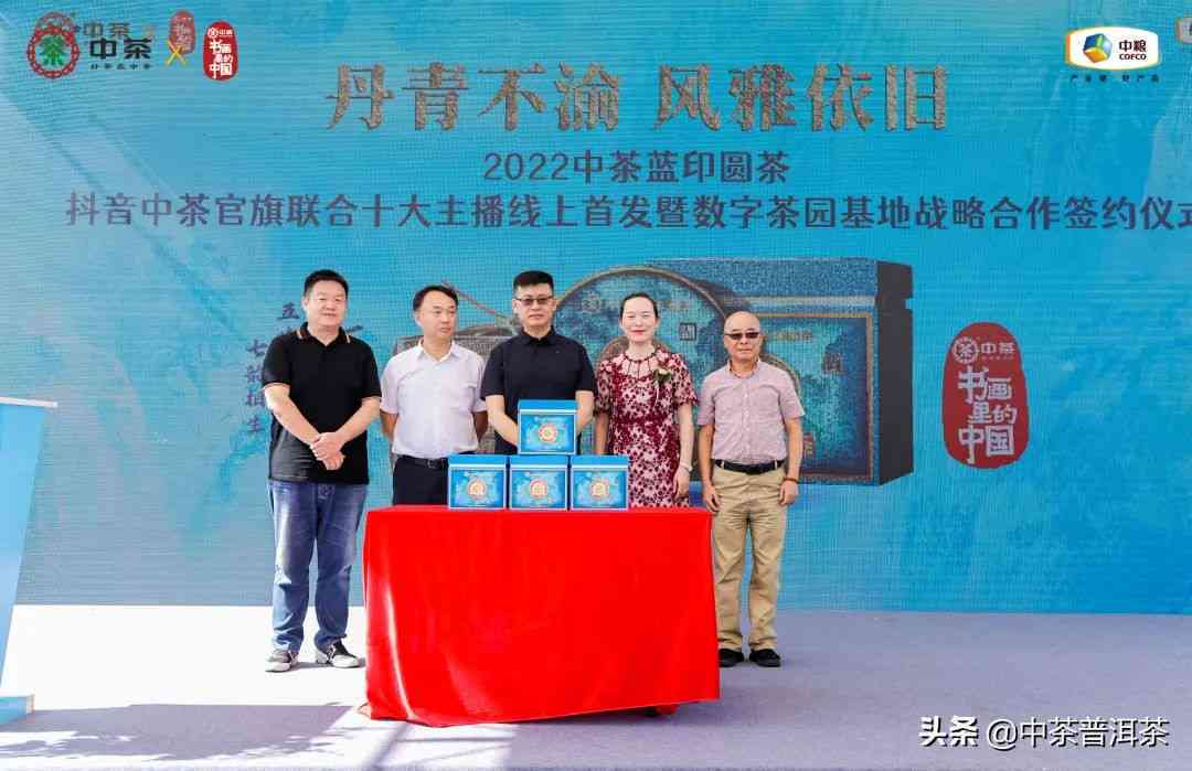 中茶普洱茶2022印圆茶价格