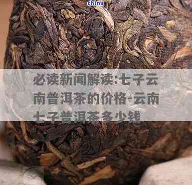 全面了解：15年七子普洱茶饼价格走势、品质与收藏价值分析