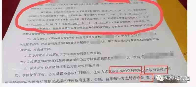 逾期未申报行政处罚决定书：原因、后果及如何补救的全面指南