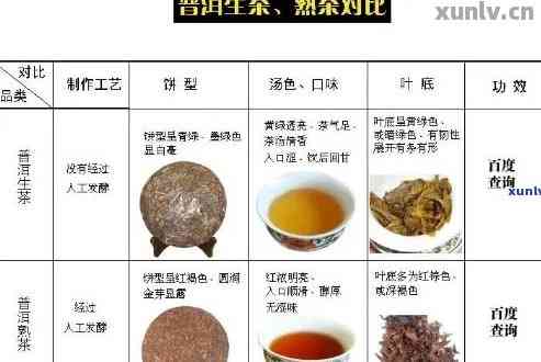 普洱茶品种与陈茶差异解析：如何区分、品鉴及存陈年普洱？