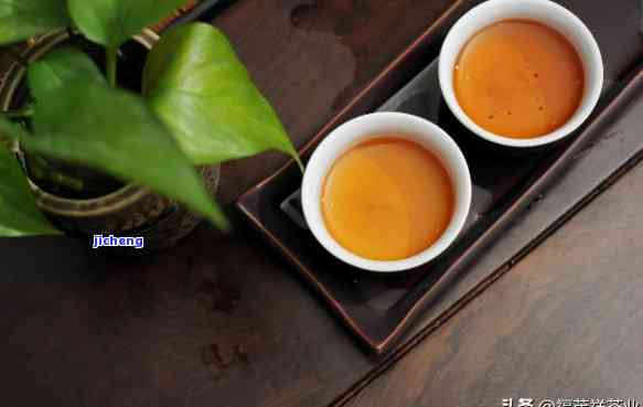 普洱茶是陈茶好：新茶还是熟茶？