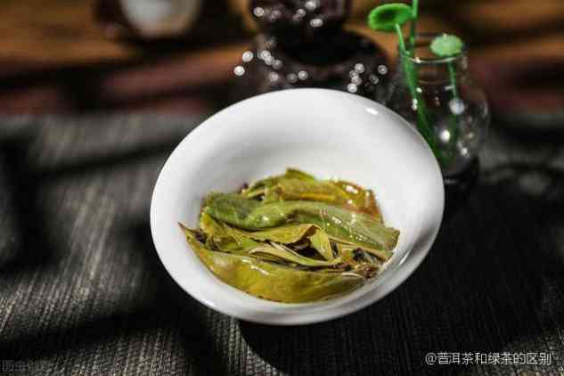 普洱茶、乌龙茶与绿茶：三种茶叶的区别与选择