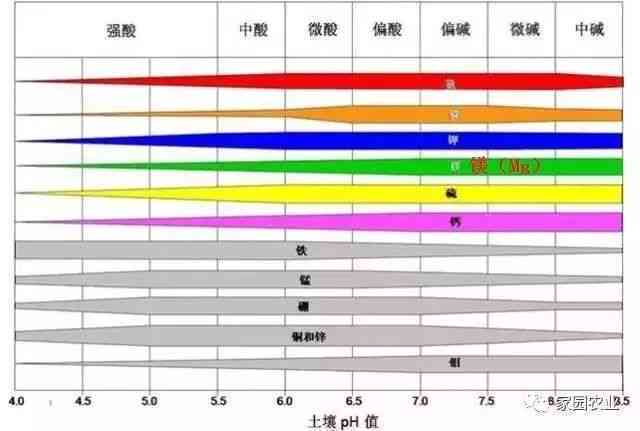 镁离子的颜色特性及影响因素：全面解析