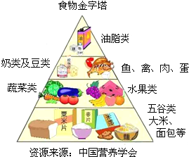 镁离子在不同化合物中的功能和应用：探究其构成物质的多样性与潜力