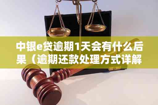 中银e贷逾期后还款，解封时间及相关影响全解析