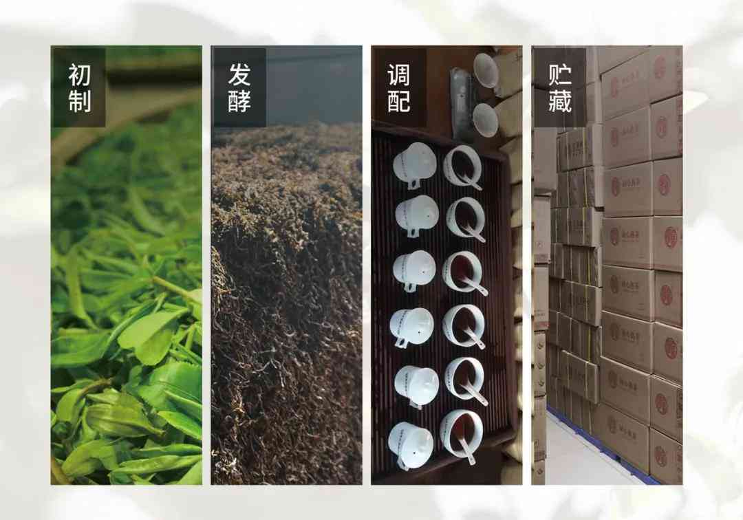 陈年普洱茶的醇化过程：从生茶到熟茶的转变探讨