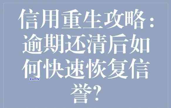 三年前逾期信用卡的教训：信用修复与重塑策略