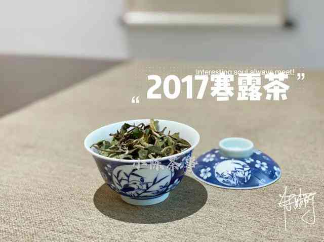 普洱茶和岩茶：哪个更有营养价值？如何选择适合自己的茶叶？