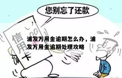 浦发信用卡逾期一次处理策略：如何避免万用金损失