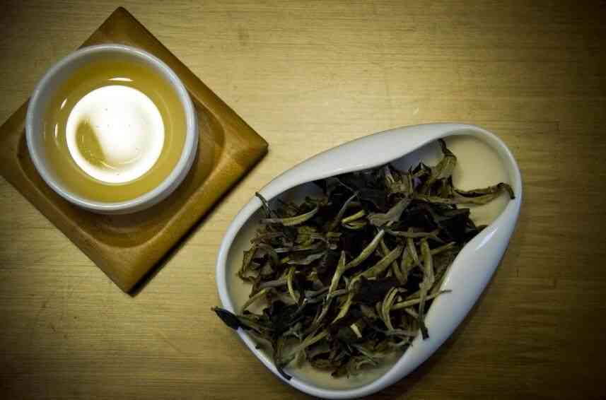 探寻普洱茶百年传奇：三大香型与三种独特的茶叶品种