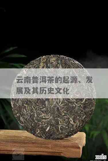 普洱茶百年发展：三大时期的独特品质与鉴方法