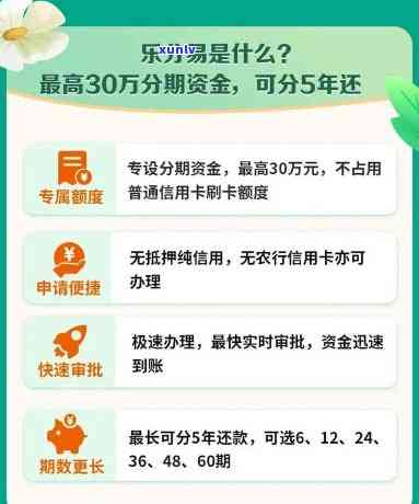 农业银行乐分易还款方式详解：逾期处理与信用建设策略