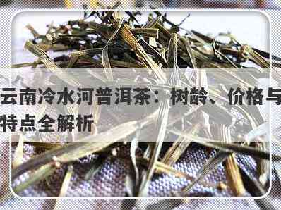 云南冷水河普洱茶多少钱一斤