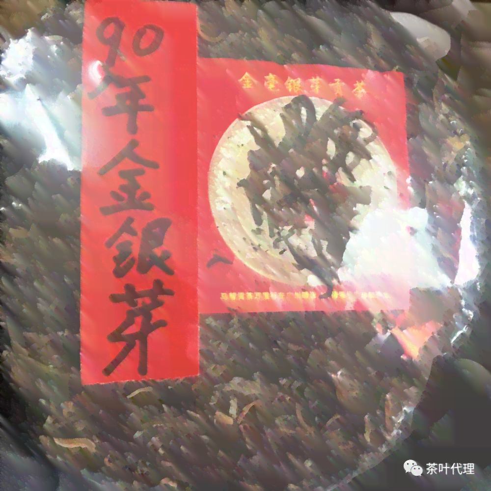 普洱茶后期转化之王：那个山头好？