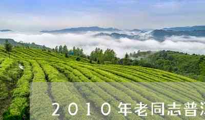 老同志20周年念普洱茶