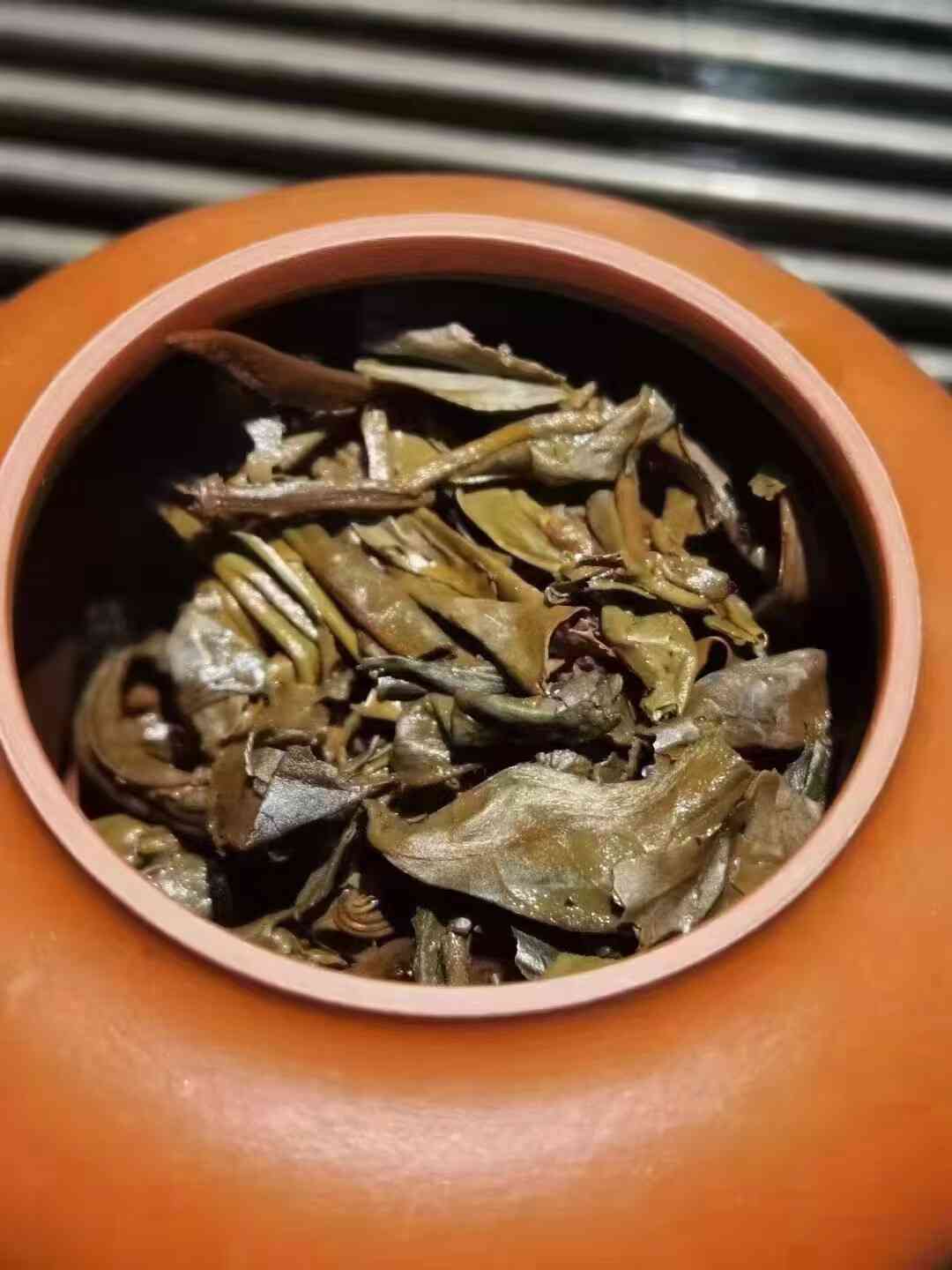 20年以上普洱茶生茶内质