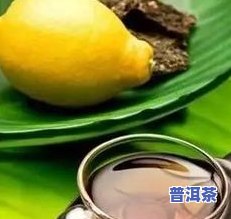 小菊普洱茶的功效和作用及相关禁忌：全面解析其好处与所属茶类