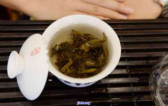 小菊普洱茶的特色冲泡技巧与体验