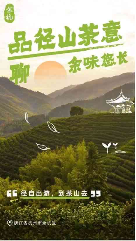 云南普洱茶一般价格表2023大全及古茶价格解析