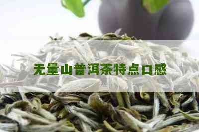 无量山普洱茶生茶口感特点