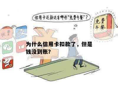 我信用卡没用过怎么扣钱了？怎么回事？