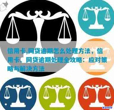 信用卡网贷逾期一年半的影响及解决办法，全面了解您的信用状况和应对策略