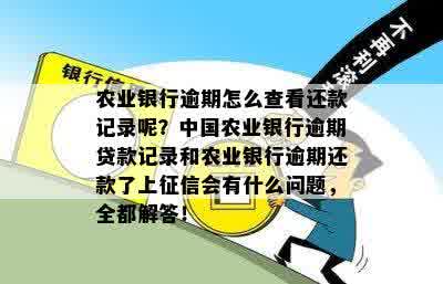 农业银行信用卡逾期记录查询全攻略：如何快速掌握信用状况