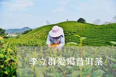 李立群20年普洱茶多少钱