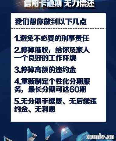 三年无逾期信用卡的使用经验与感悟：年会中的意外惊喜