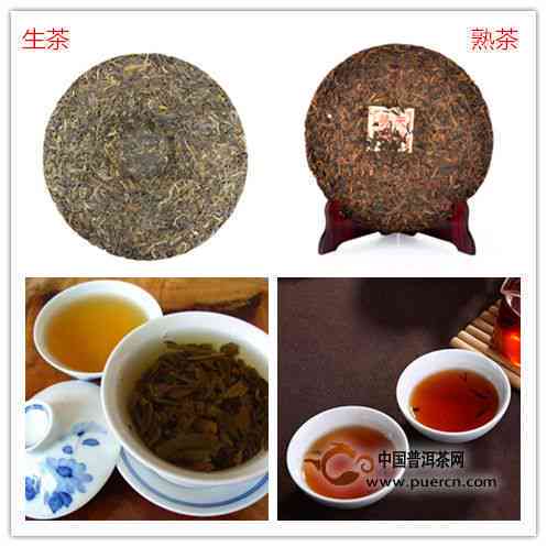 普洱茶膏：熟茶还是生茶？如何区分以及其特点和功效解析