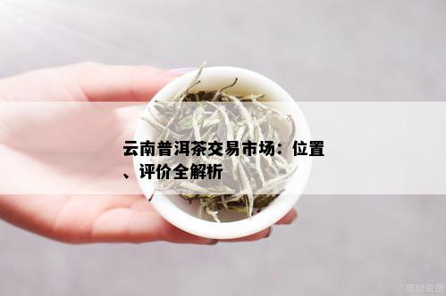 昆明普洱茶场位置及交通指南：如何轻松找到最合适的茶叶市场？