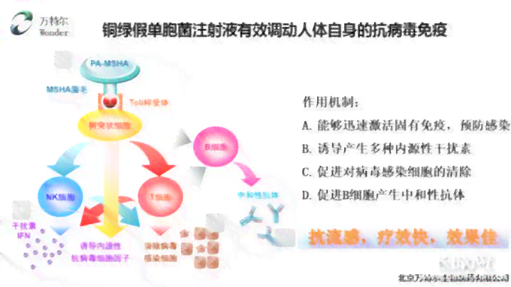 '莫西沙里在肺部感染治疗及病性感染中的作用与区别：氯化钠增强效果'