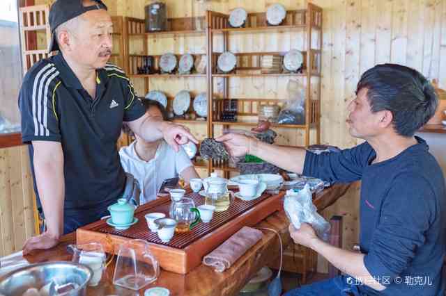 探索云南普洱茶：勐海宫廷十年品质之路，一次全方位的品茶之旅