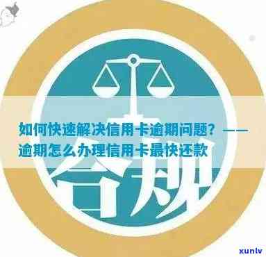 节假日信用卡还款攻略：避免逾期的实用建议