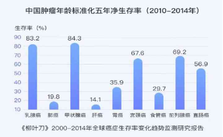 30年陈普洱茶价格及市场趋势分析，如何选购与品鉴？