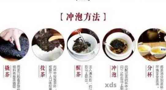 30年普洱茶功效与作用：科学研究证实的健益处