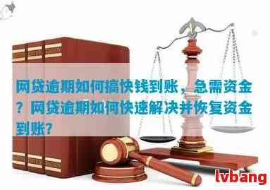 网贷逾期后资金处置：从哪里开始，如何解决？