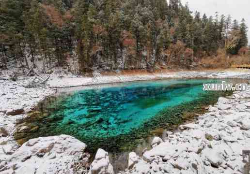 九寨沟旅游购物：探寻真正的和田玉购买指南