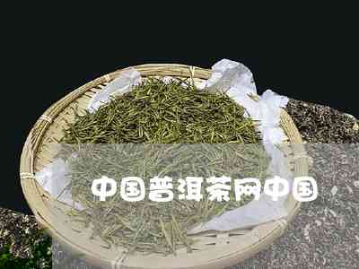 中国普洱茶产业网官方网站