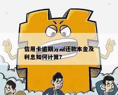 信用卡逾期还款一年的滞纳金和利息计算方法探讨