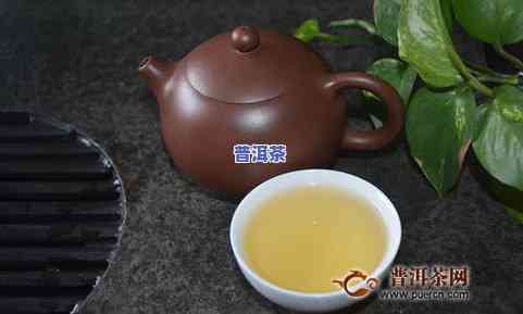 京东最新生茶价格汇总：一盒普洱茶多少钱？