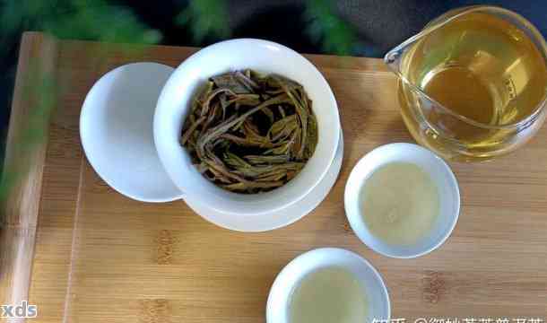 茉莉为什么爱普洱茶的醇厚风味及其独特香气：解析背后的原因与魅力