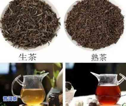 云南普洱生茶普洱茶50g