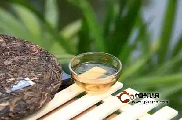 普洱茶泡着喝对减肥有帮助吗？