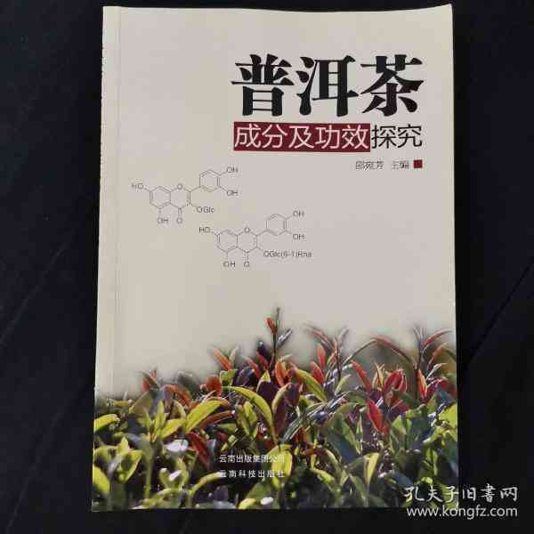 探究普洱茶中的多种成分及其对健的潜在影响——以消炎功效为例