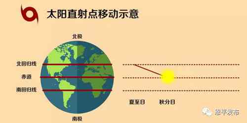 比较藕粉与晴水的价格：哪个更昂贵？同时探讨其他可能影响价格的因素