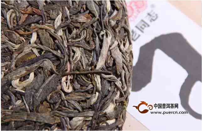 普洱茶帕沙茶的独特魅力与风味解析：了解其品种、制作工艺与品饮技巧