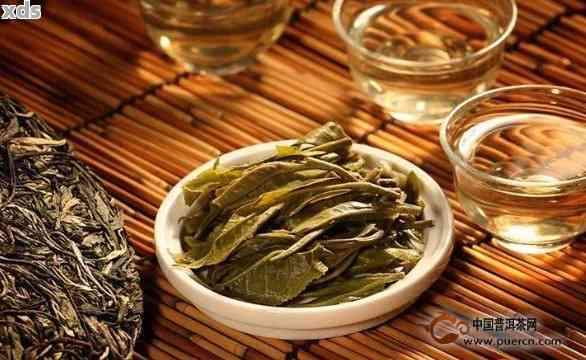 在丽江买普洱茶哪里价物美-丽江哪里买普洱茶比较好