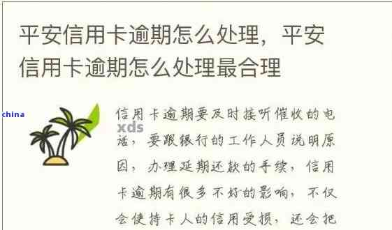 信用卡逾期十分内如何处理——平安银行信用用卡攻略