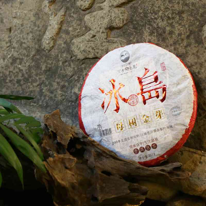 冰岛母树60年念普洱茶